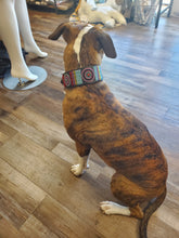 Load image into Gallery viewer, TKC Bijou Beaded Dog Collar