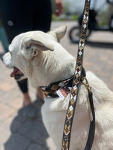 Load image into Gallery viewer, TKC Earth Argyle Beaded Dog Lead