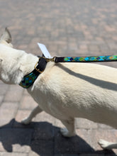 Load image into Gallery viewer, TKC Peacock Argyle Beaded Dog Lead