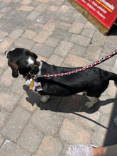 Load image into Gallery viewer, TKC Maasai Shield Argyle Beaded Dog Lead