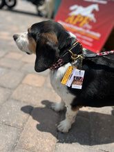 Load image into Gallery viewer, TKC Maasai Shield Argyle Beaded Dog Collar