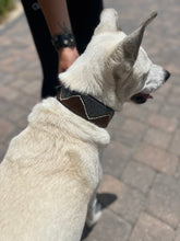 Load image into Gallery viewer, TKC Nairobi Beaded Dog Collar