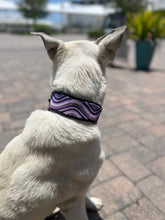 Load image into Gallery viewer, TKC The Purple Wave Beaded Dog Collar