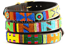 Load image into Gallery viewer, TKC Hippo Circus Belt Wide Width - Silver Buckle