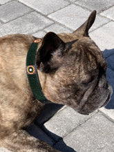 Load image into Gallery viewer, TKC The Babington Collection Dog Collars