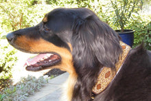 Load image into Gallery viewer, "Cheetah" Beaded Dog Collar
