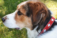 Load image into Gallery viewer, "Unity" Beaded Dog Collar