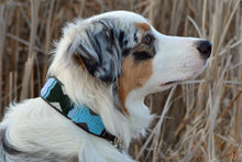 Load image into Gallery viewer, "Jacaranda" Beaded Dog Collar