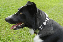 Load image into Gallery viewer, "Ebony &amp; Ivory" Beaded Dog Collar