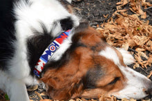 Load image into Gallery viewer, "Red White Blue" Beaded Dog Collar