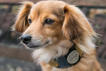 Load image into Gallery viewer, "Metallic Circle of Life" Beaded Dog Collar