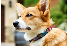 Load image into Gallery viewer, "Bijou" Beaded Dog Collar