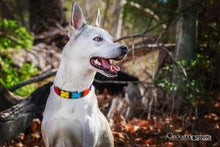 Load image into Gallery viewer, TKC Flower Power Beaded Dog Collar